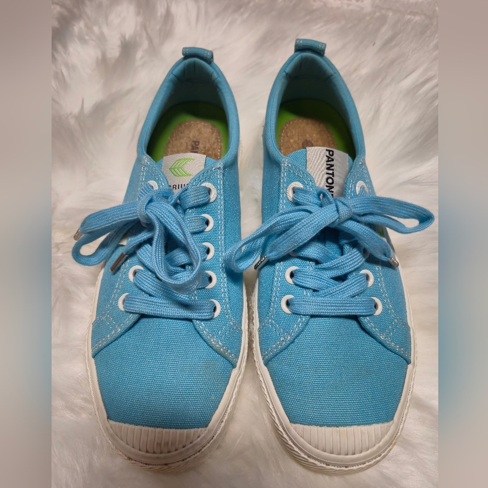 Cariuma Light Blue Canvas Sneakers‎